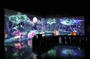 ARTE MUSEUM Dubai + Dubai Aquarium & Underwater Zoo Tickets 