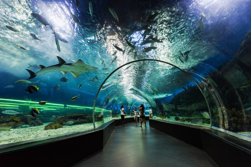 Dubai Aquarium + Sky Views Observatory Tickets 