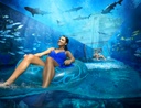 Aquaventure Waterpark Tickets + Dining at Atlantis Restaurants 