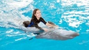 Dubai Crocodile Park + Dolphinarium Tickets 