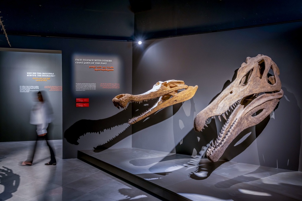 Dubai Crocodile Park + Dolphinarium Tickets 