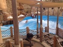 Ski Dubai Snow Park + Wild Wadi Tickets 