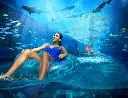 marine_and_waterpark_aquaventure_waterpark_02_08_2015_102ext.webp