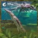 dubaicrocodilepark_342048729_1912299429169056_6617128579440416218_n.webp