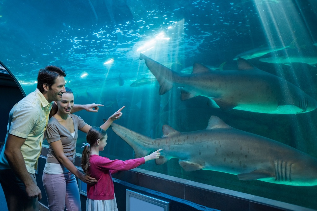 Burj Khalifa + Dubai Aquarium + Sky Views Tickets 