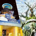 IMG World of Adventure + Free the Green planet Ticket