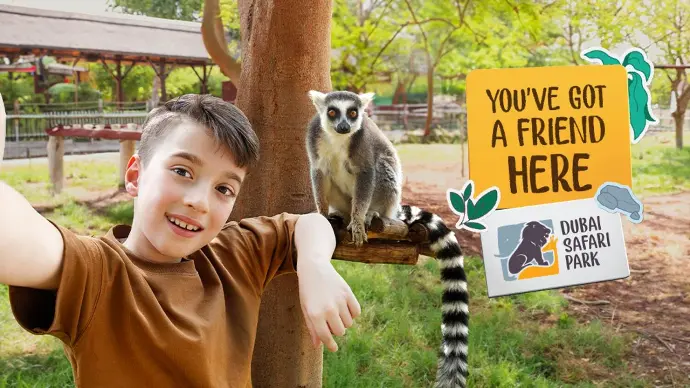 Dubai Safari Park Journey Ticket