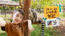 Dubai Safari Park Journey Ticket