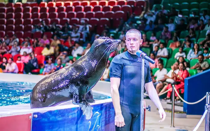Dubai Dolphinarium