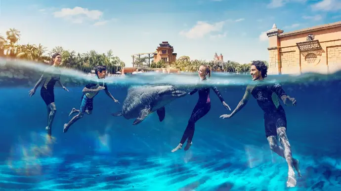 Dolphin Bay Atlantis Dolphin Encounter