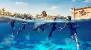 Dolphin Bay Atlantis Dolphin Encounter
