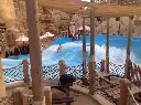 Combo-Dubai Parks & Resorts + Wild Wadi