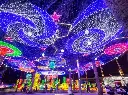 Glow Garden