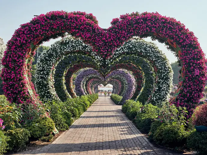 Miracle Garden
