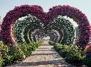 Miracle Garden