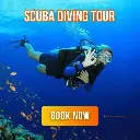 Scuba Diving Tour