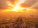 The View At The Palm Jumeirah
