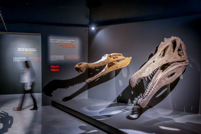 Dubai Crocodile Park