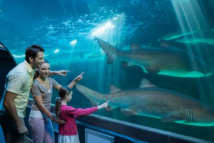 Dubai Aquarium and Underwater Zoo Tickets